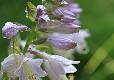 亲人要离开的句子(60句)