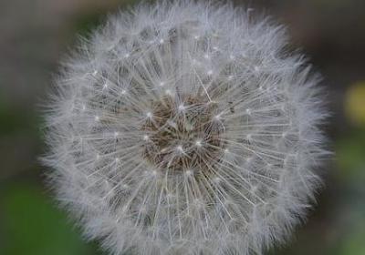 亲人分开的心情句子(实用50句)