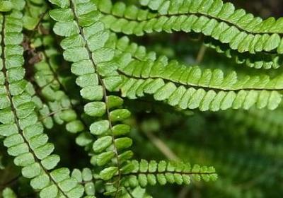 五五开的骂人句子(共30句)