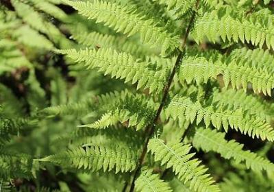 交友的正能量句子(共50句)