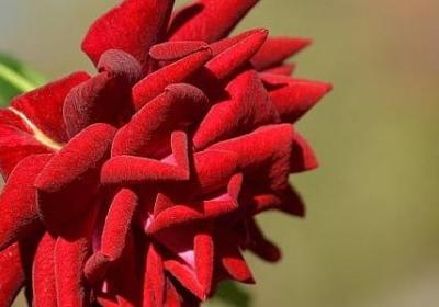 人们长城的评价句子(热门80句)