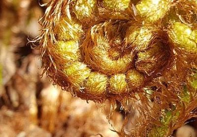 人出众的句子(通用40句)