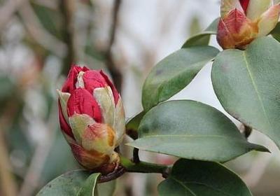 人与人的句子(推荐60句)