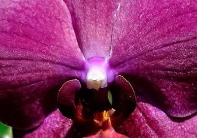 互殴的句子(60句)