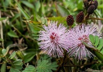 云朵黑白绘画唯美句子(共15句)