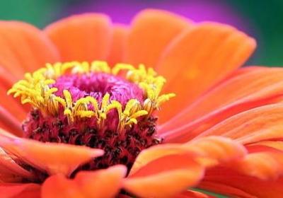 五个单词的英文句子(实用140句)