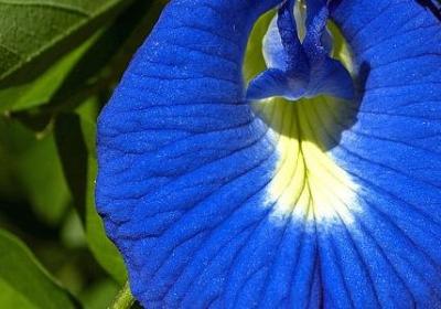 五个简短句子(共20句)