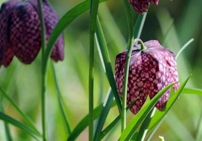 五彩缤纷的景色的句子(70句)