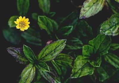 五杀骚句子(推荐50句)