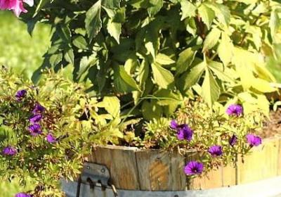 享受竞速的感悟句子(共49句)