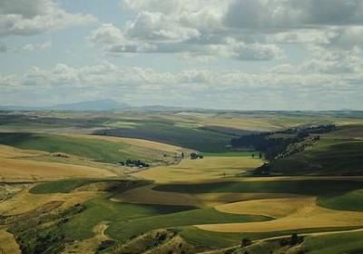 亲人想念的句子(精选50句)