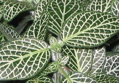 亲子竖图唯美句子(共40句)