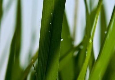 亲情的唯美短句子(必备60句)