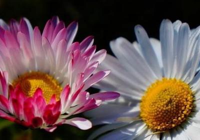 人与人对比句子(实用50句)