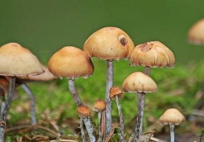 五个好句子短(精选30句)