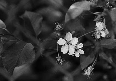 互相矛盾的句子(合集20句)