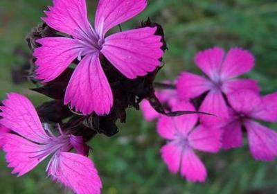 五一祭奠父母的句子(热门40句)