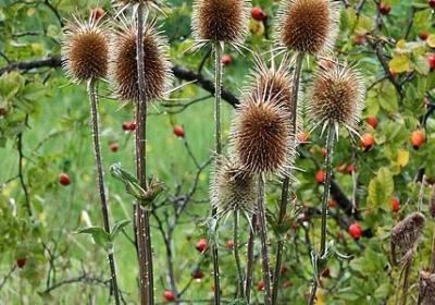 产业发展句子(必备15句)