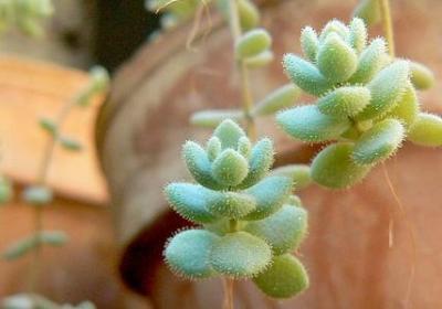 交友句子吧(优选50句)