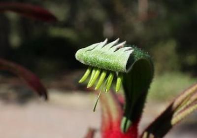 产妇回家的句子(推荐50句)