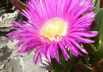 享受高端奢华的句子(推荐50句)