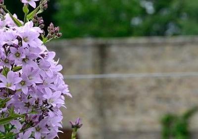 享受海边度假优美句子(热门60句)