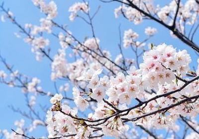 亲人聚的句子(推荐40句)