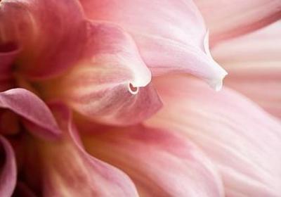 互相伤害短句子(实用49句)