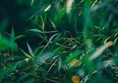 云朵变化的句子(精选40句)