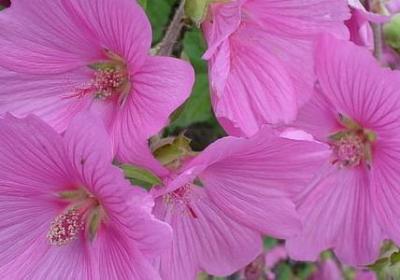 互相尊重的句子夫妻(精选70句)