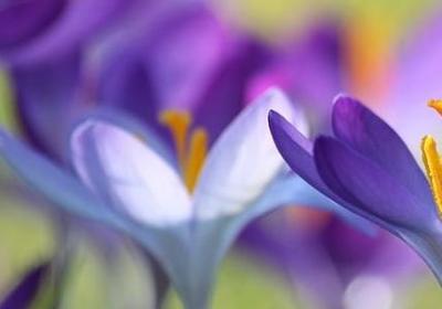 五月早安句子图片大全(实用60句)