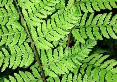 些瞬间的句子(精选50句)