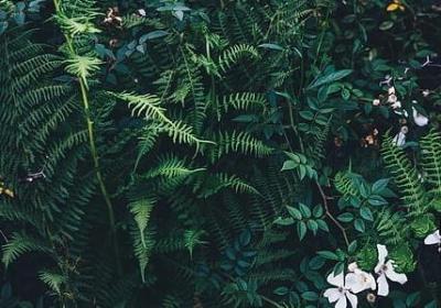 亲人去世悲痛心情句子(精选59句)