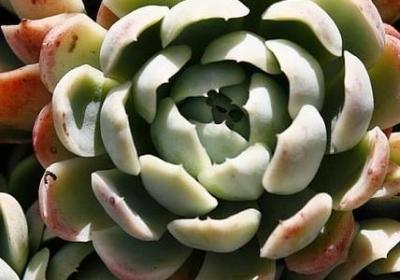 亲吻晚霞唯美句子图片(推荐10句)