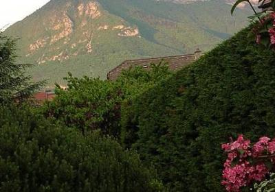 亲情不在的句子(实用40句)