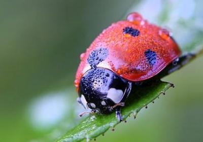 人不能太张狂的句子(热门47句)