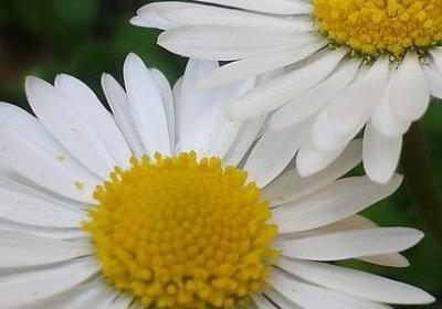 人不能太管闲事的句子(精选20句)