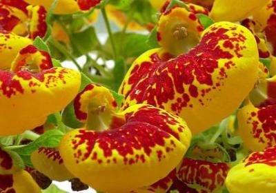 人不能自私的句子(通用60句)