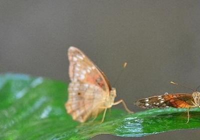 亲爱的晚安句子(通用79句)