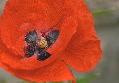 人人皆为钱的句子(合集60句)