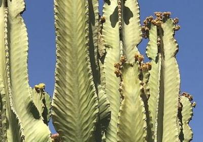 人为所欲为的句子(必备50句)