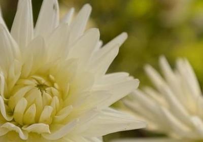 云巅之上经典句子(必备50句)