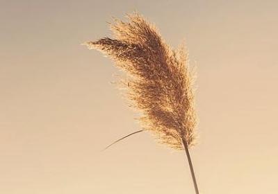 五一游玩的句子(推荐20句)