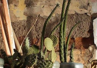 产后训练的文案句子(9句)