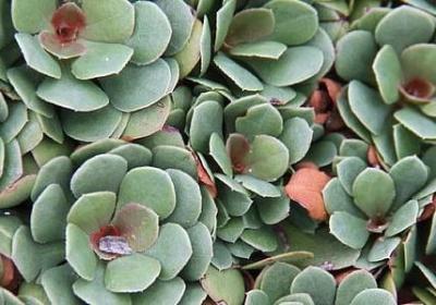 享的造句子(实用40句)