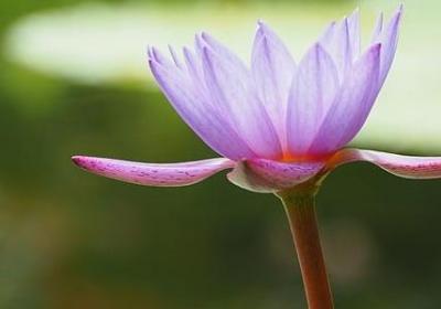 享受厨艺好的句子(合集50句)