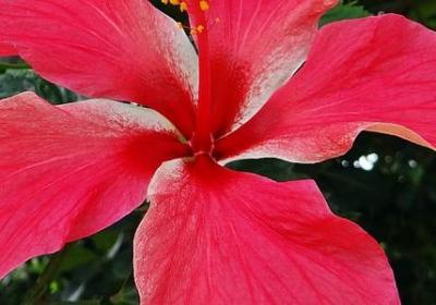 享受的句子诗句(汇总50句)