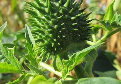 享受阳光惬意的句子(热门15句)