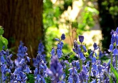 享受美好恋爱的句子(50句)