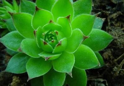 亲子教育的句子(通用20句)